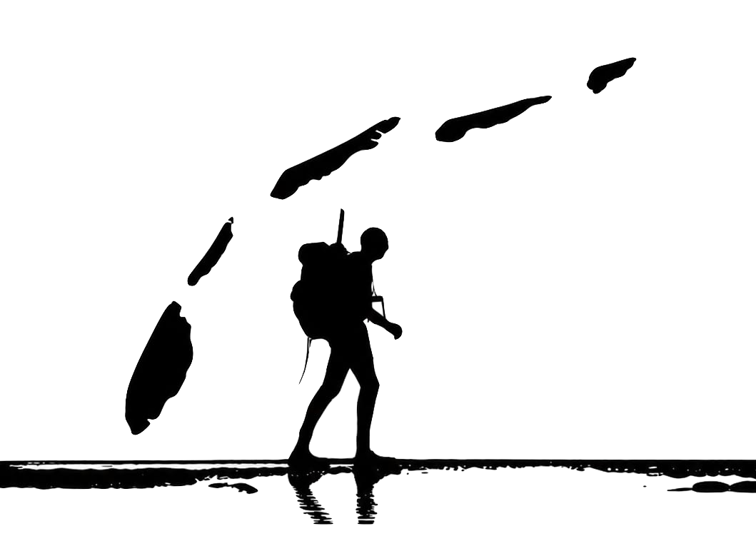 Wadlopen WieWadWaar